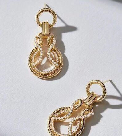 Bottega VENENTA Earrings